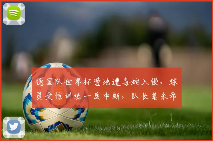 德国队世界杯营地遭毒蛇入侵,球员受惊训练一度中断,队长基米希:现在球员每走一步都要低头留意脚下,提心吊胆