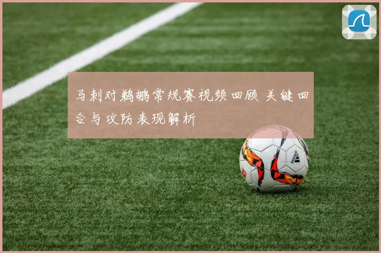 马刺对鹈鹕常规赛视频回顾 关键回合与攻防表现解析