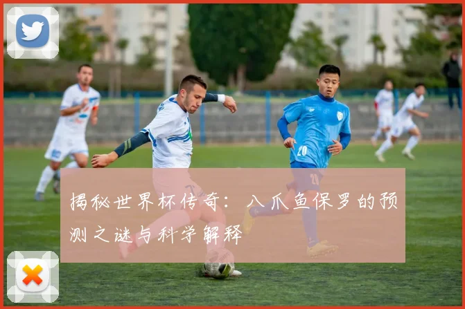 揭秘世界杯传奇:八爪鱼保罗的预测之谜与科学解释